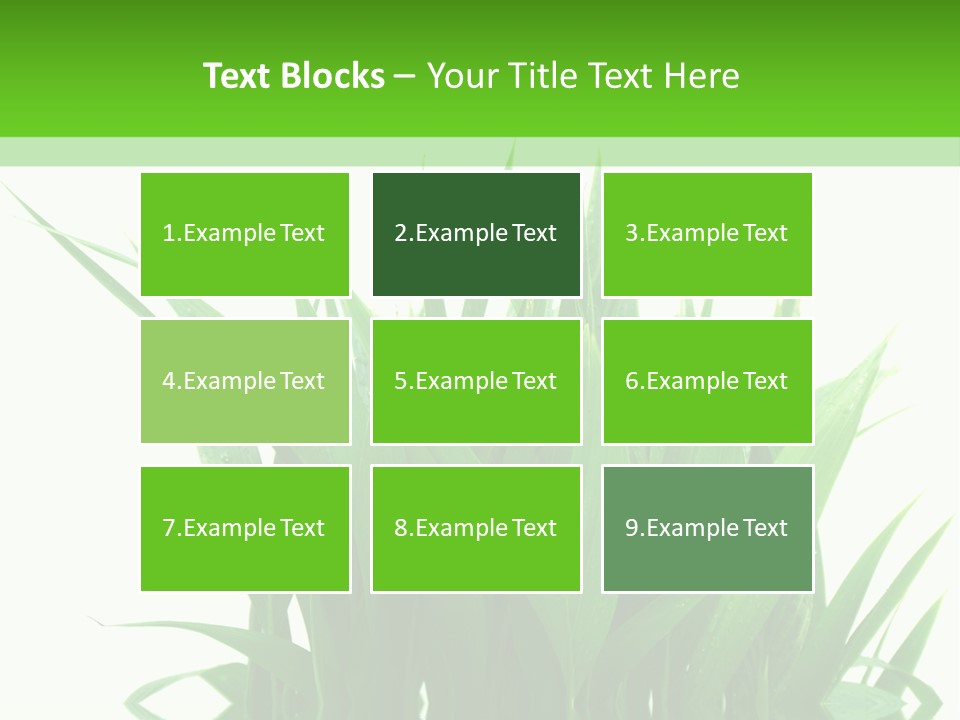 Cocotier Palmiers Tropical PowerPoint Template