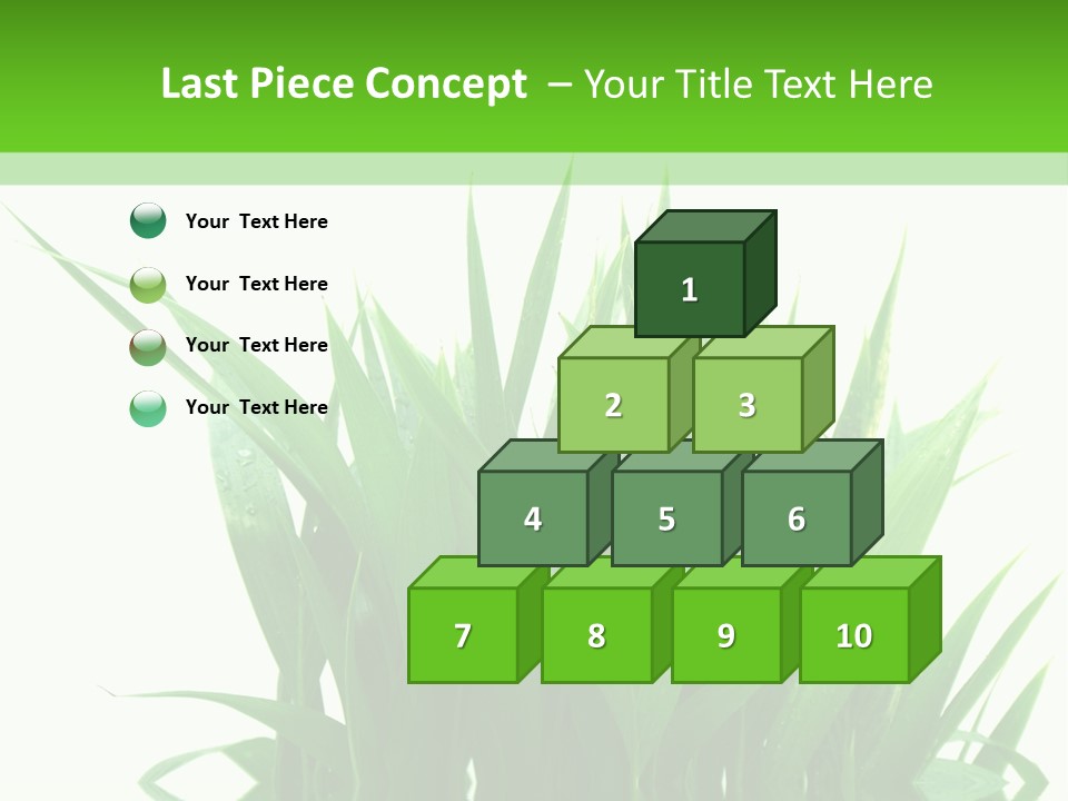 Cocotier Palmiers Tropical PowerPoint Template