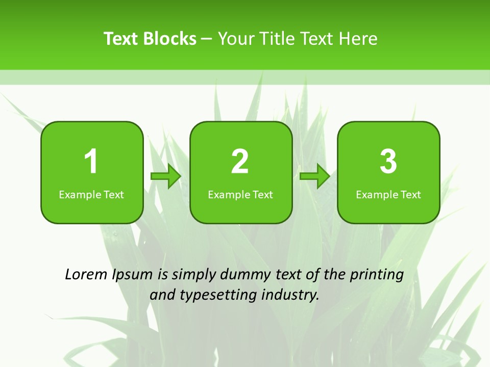 Cocotier Palmiers Tropical PowerPoint Template