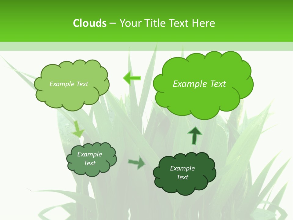 Cocotier Palmiers Tropical PowerPoint Template