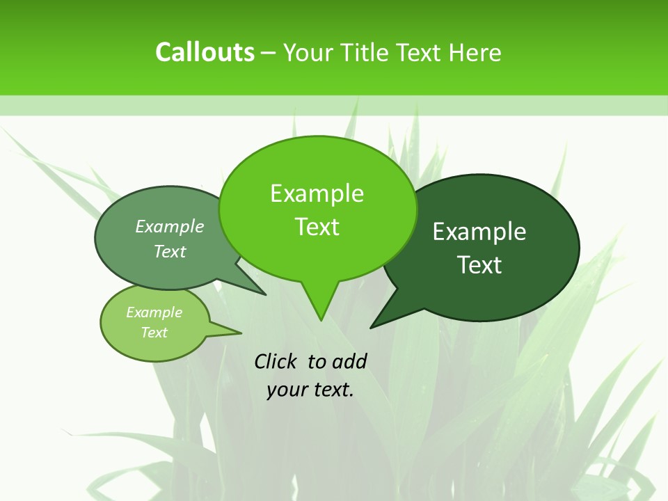 Cocotier Palmiers Tropical PowerPoint Template