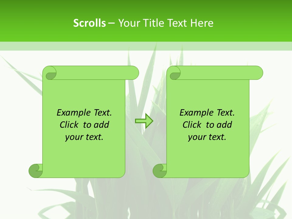 Cocotier Palmiers Tropical PowerPoint Template