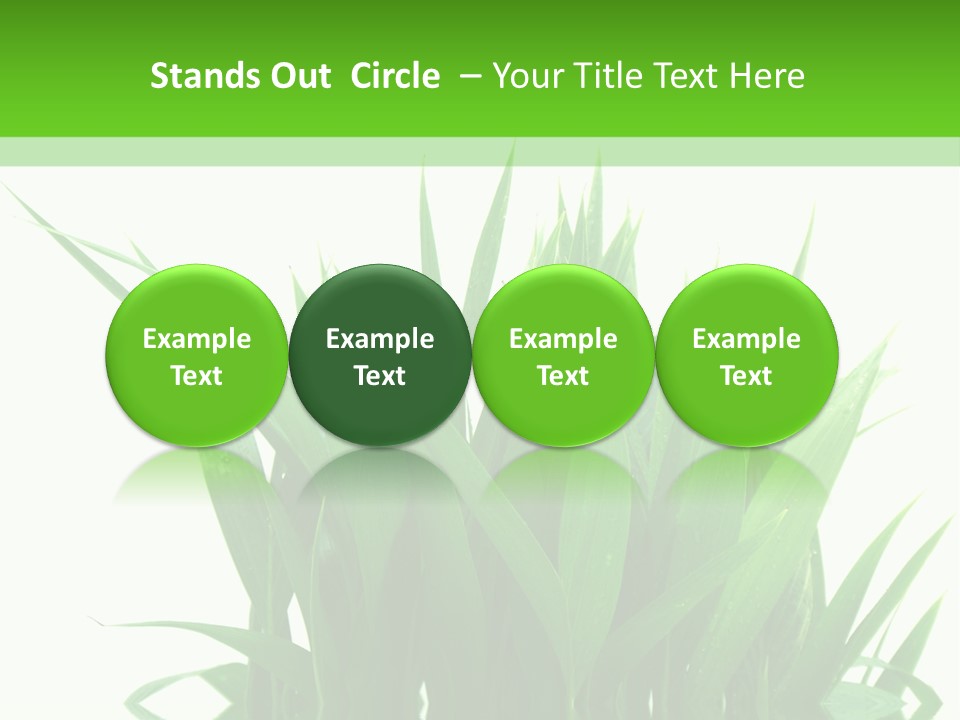Cocotier Palmiers Tropical PowerPoint Template
