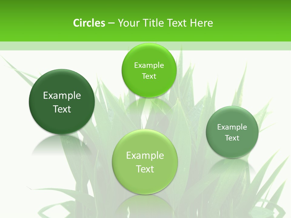 Cocotier Palmiers Tropical PowerPoint Template