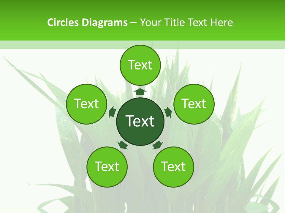 Cocotier Palmiers Tropical PowerPoint Template