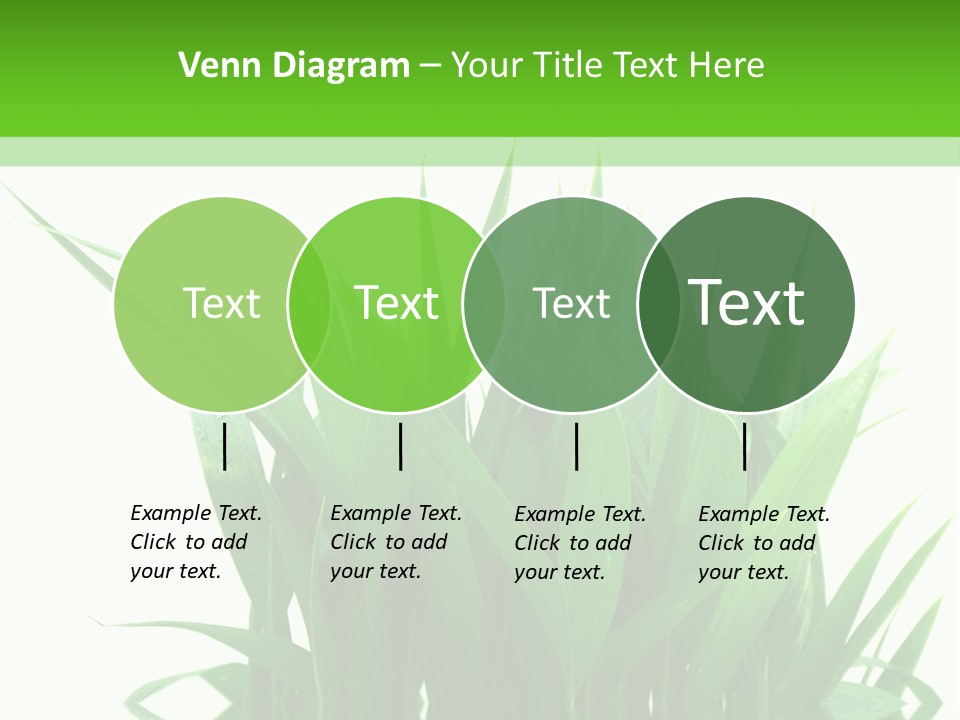 Cocotier Palmiers Tropical PowerPoint Template