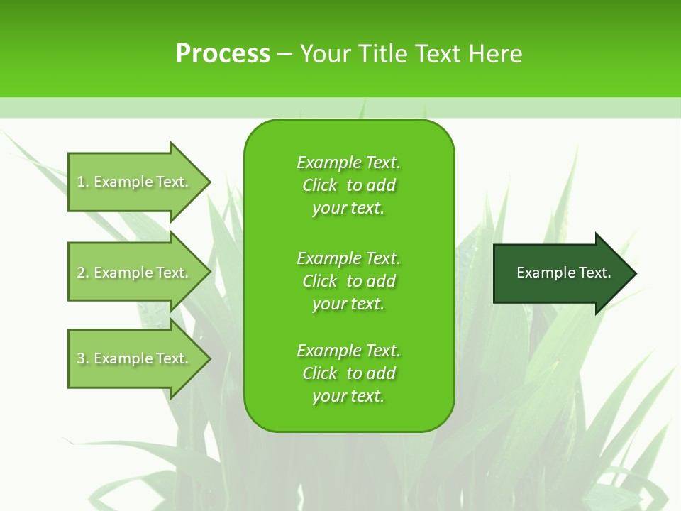Cocotier Palmiers Tropical PowerPoint Template