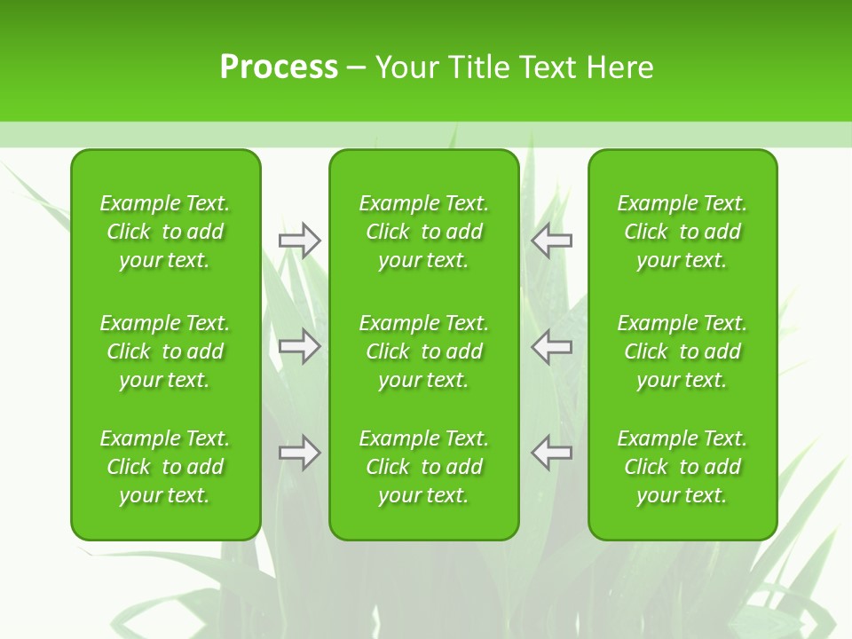 Cocotier Palmiers Tropical PowerPoint Template