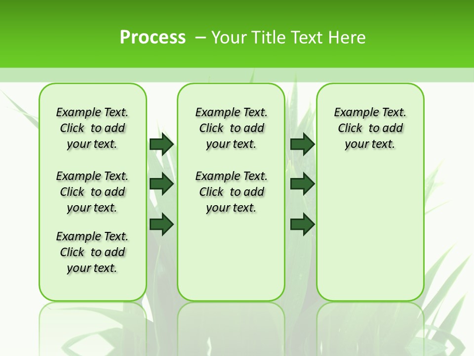 Cocotier Palmiers Tropical PowerPoint Template