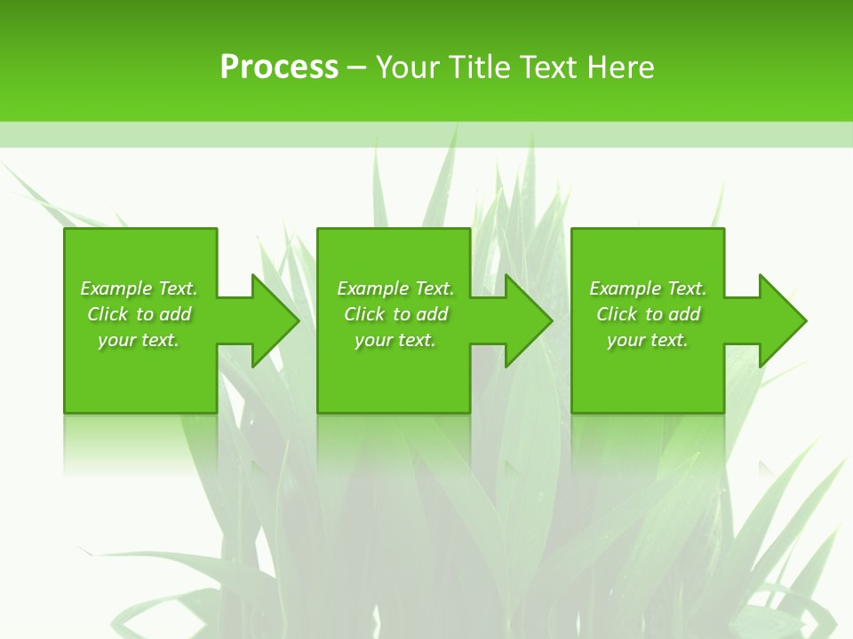 Cocotier Palmiers Tropical PowerPoint Template