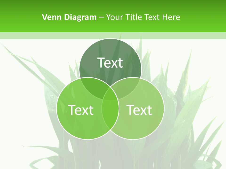 Cocotier Palmiers Tropical PowerPoint Template