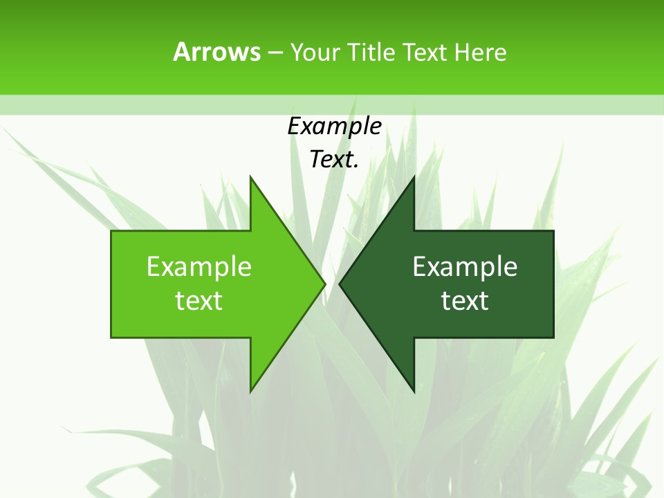 Cocotier Palmiers Tropical PowerPoint Template