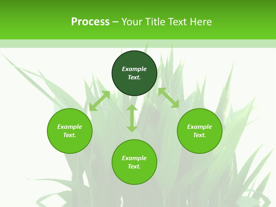 Cocotier Palmiers Tropical PowerPoint Template