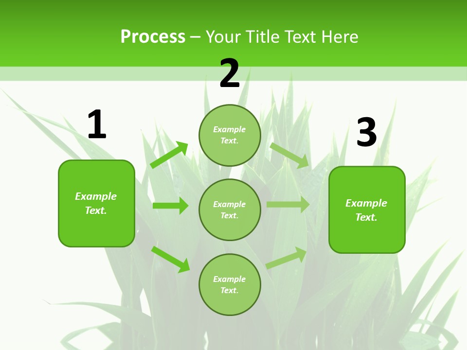Cocotier Palmiers Tropical PowerPoint Template
