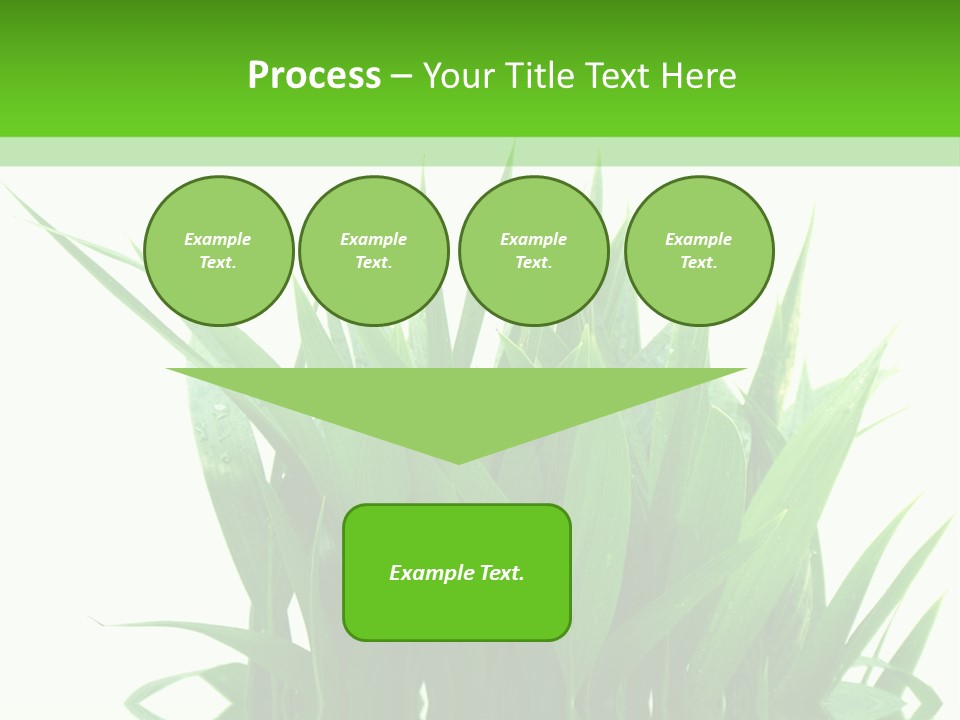 Cocotier Palmiers Tropical PowerPoint Template