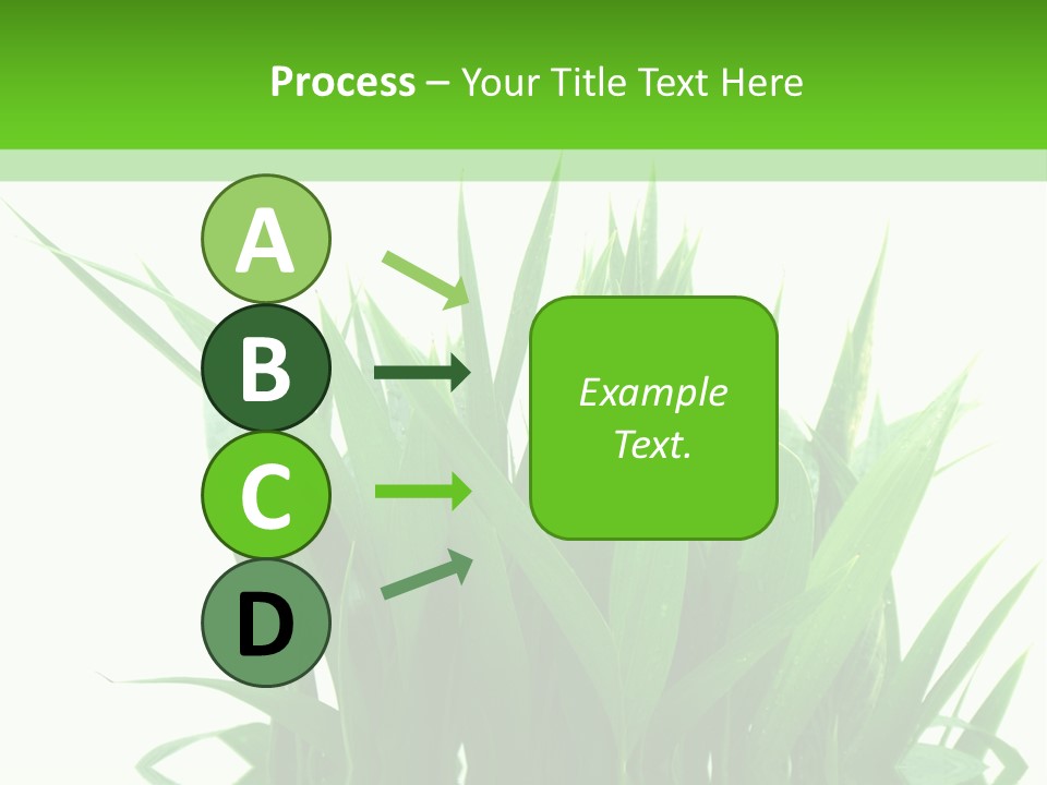 Cocotier Palmiers Tropical PowerPoint Template