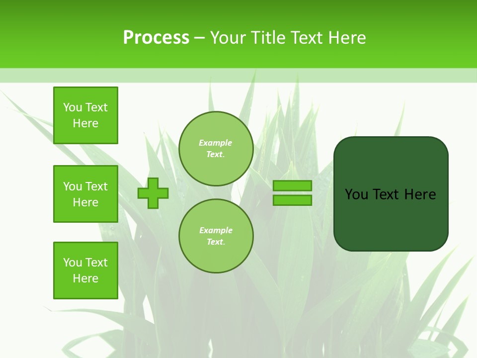 Cocotier Palmiers Tropical PowerPoint Template