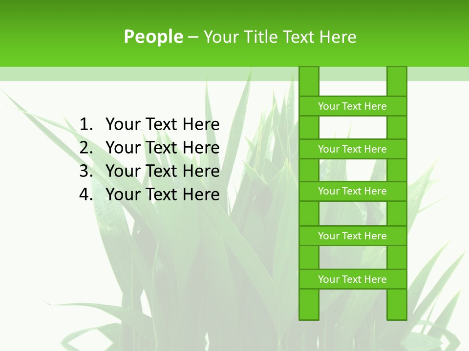 Cocotier Palmiers Tropical PowerPoint Template