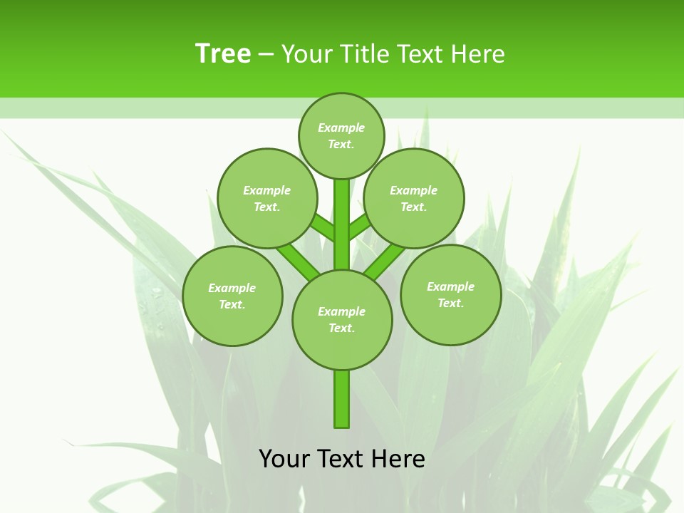 Cocotier Palmiers Tropical PowerPoint Template