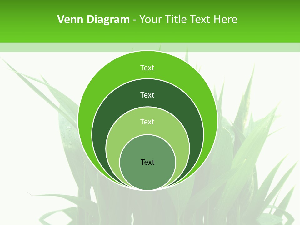 Cocotier Palmiers Tropical PowerPoint Template