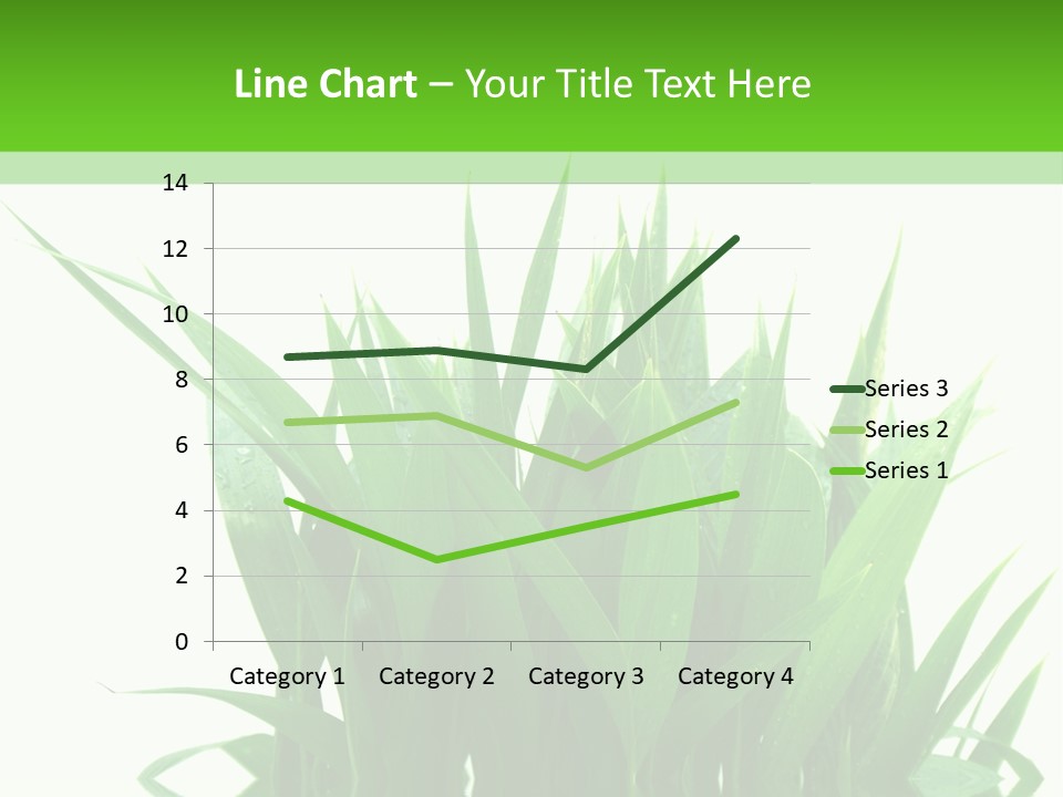 Cocotier Palmiers Tropical PowerPoint Template