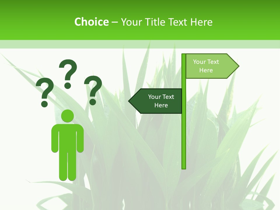 Cocotier Palmiers Tropical PowerPoint Template