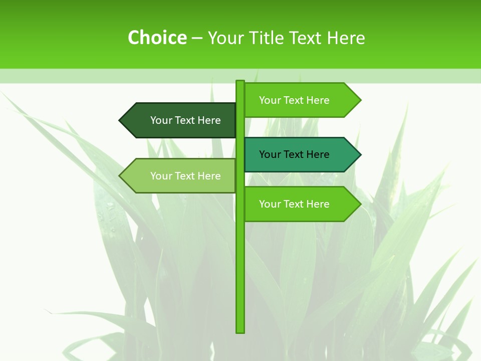 Cocotier Palmiers Tropical PowerPoint Template