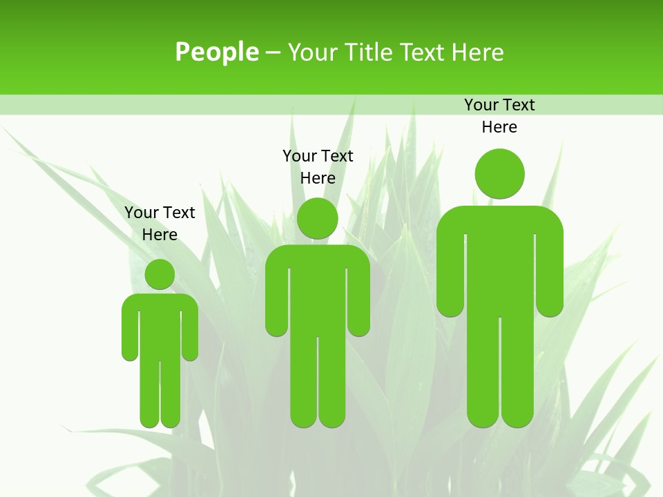 Cocotier Palmiers Tropical PowerPoint Template