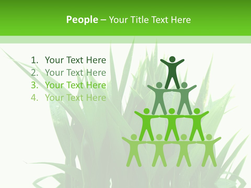 Cocotier Palmiers Tropical PowerPoint Template