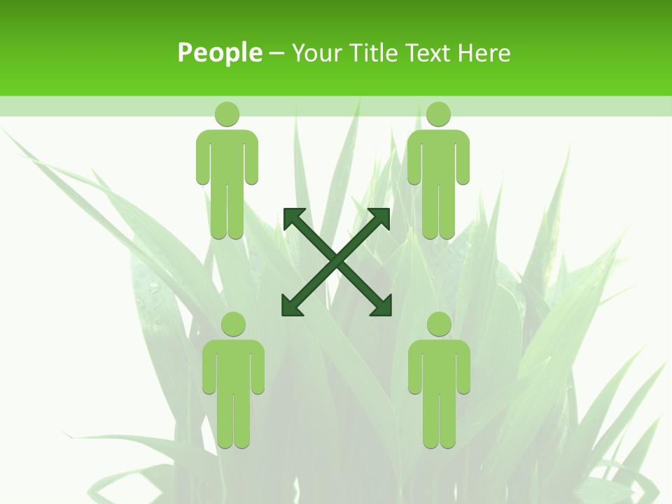 Cocotier Palmiers Tropical PowerPoint Template