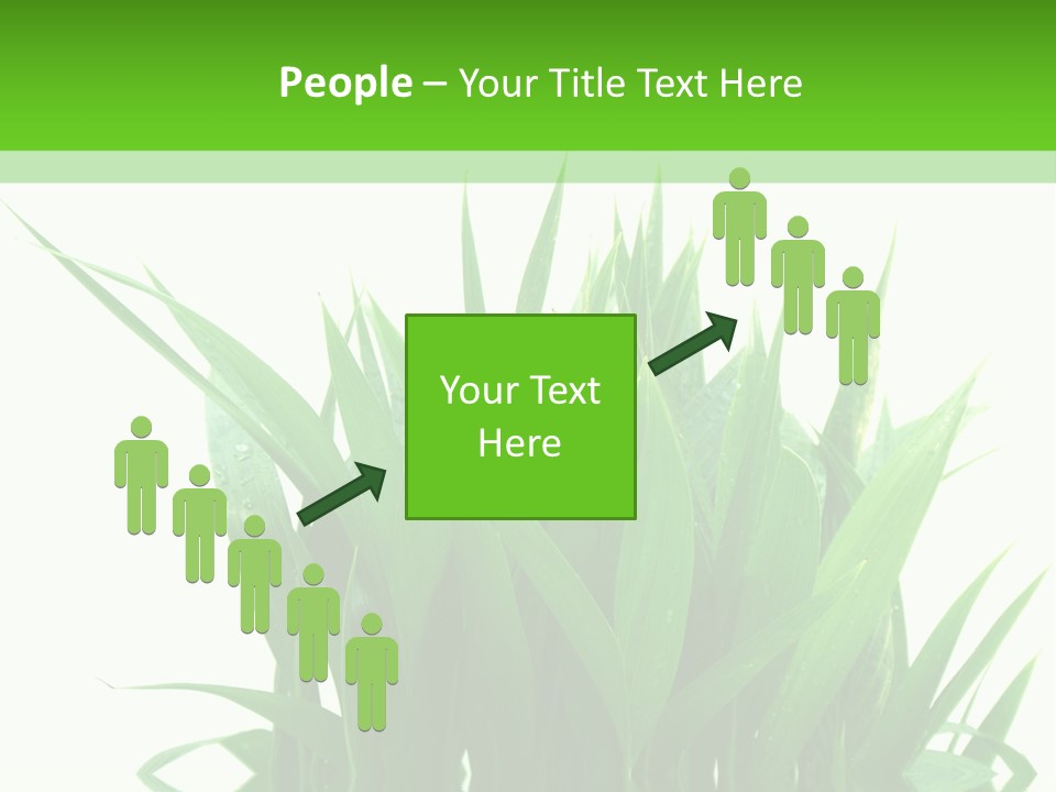 Cocotier Palmiers Tropical PowerPoint Template