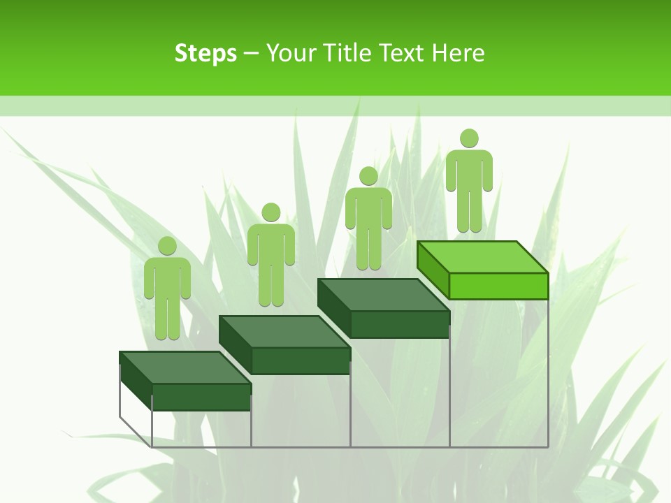 Cocotier Palmiers Tropical PowerPoint Template