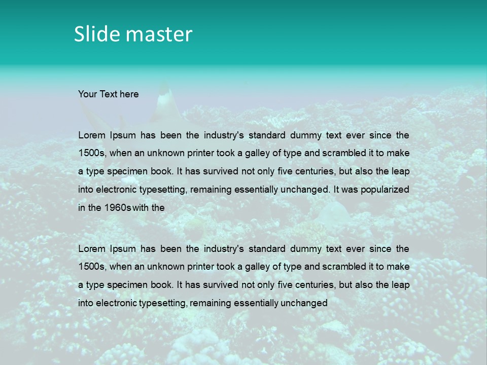 Vacaciones Tiburon Bora Bora PowerPoint Template