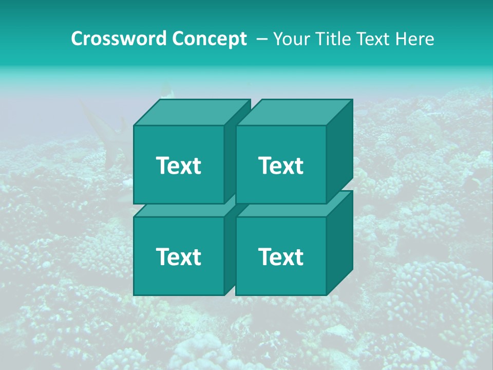 Vacaciones Tiburon Bora Bora PowerPoint Template