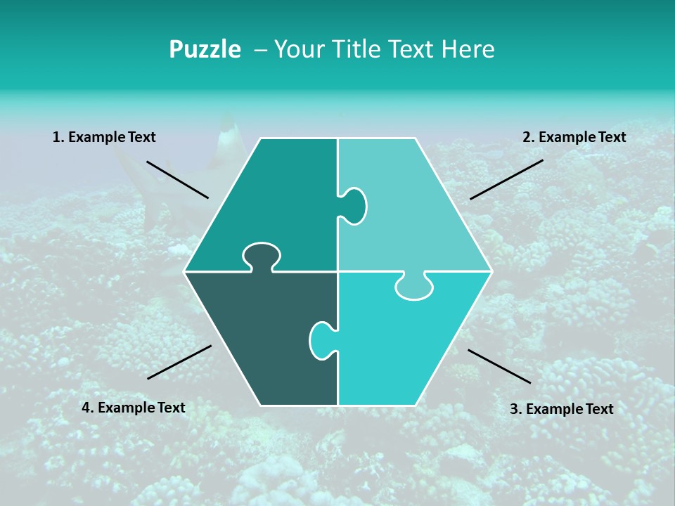 Vacaciones Tiburon Bora Bora PowerPoint Template