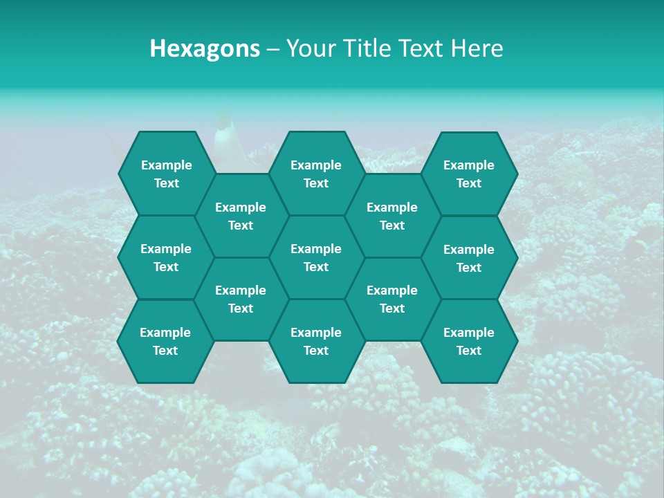 Vacaciones Tiburon Bora Bora PowerPoint Template