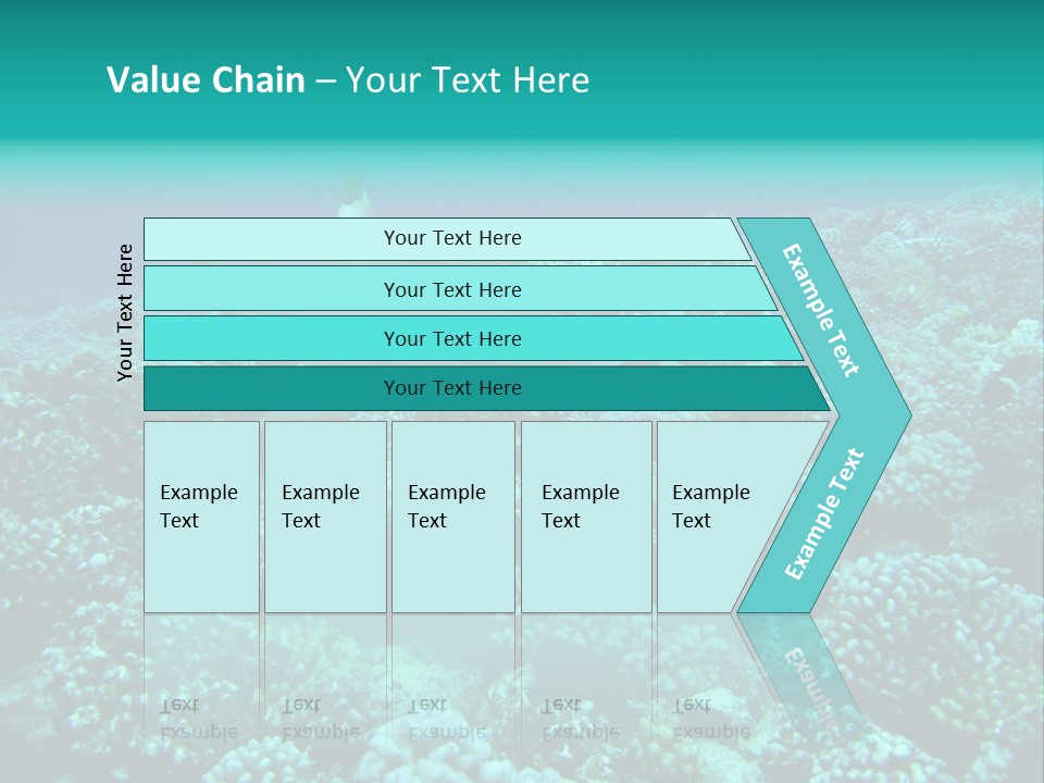Vacaciones Tiburon Bora Bora PowerPoint Template