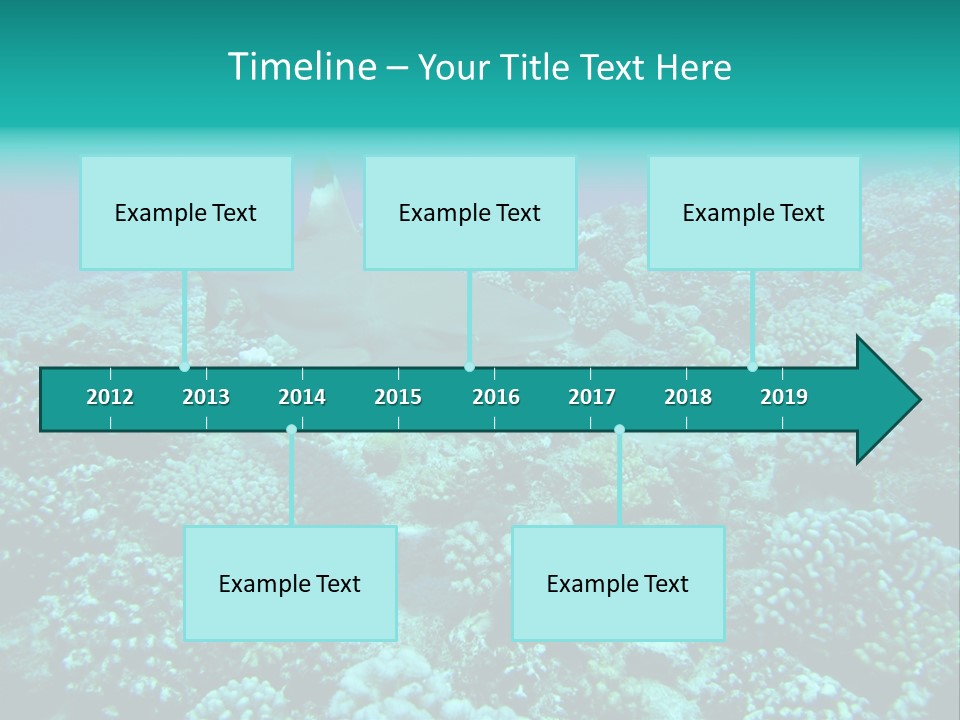 Vacaciones Tiburon Bora Bora PowerPoint Template
