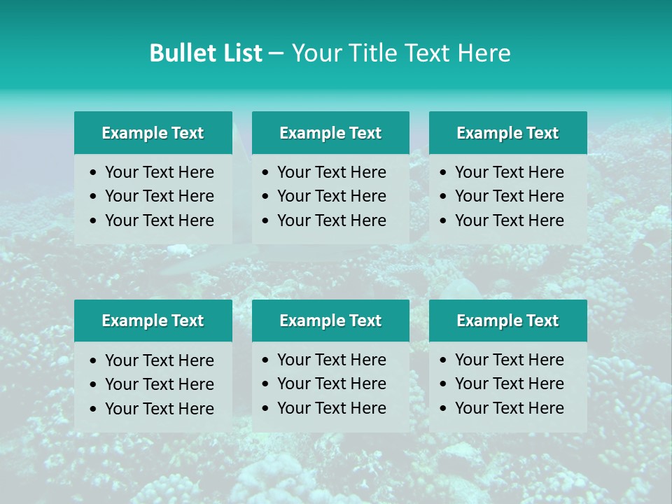 Vacaciones Tiburon Bora Bora PowerPoint Template