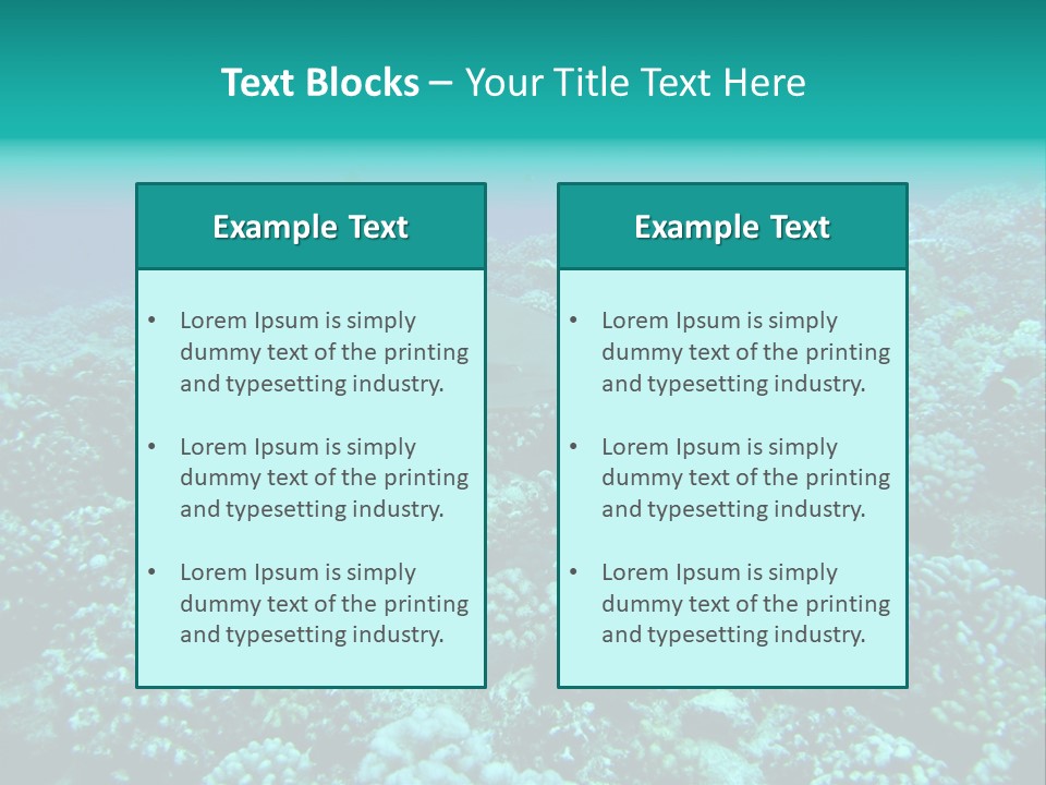 Vacaciones Tiburon Bora Bora PowerPoint Template