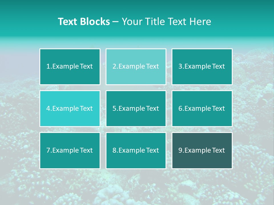 Vacaciones Tiburon Bora Bora PowerPoint Template