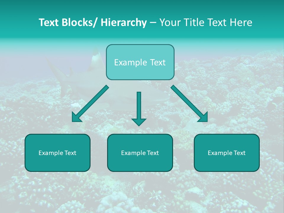 Vacaciones Tiburon Bora Bora PowerPoint Template