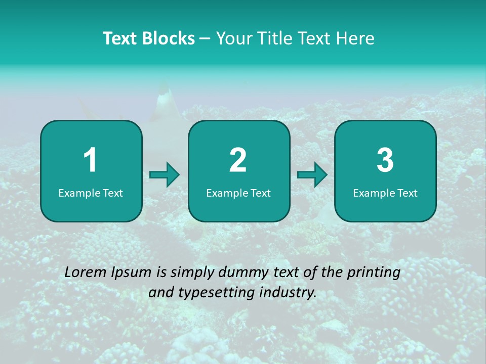 Vacaciones Tiburon Bora Bora PowerPoint Template