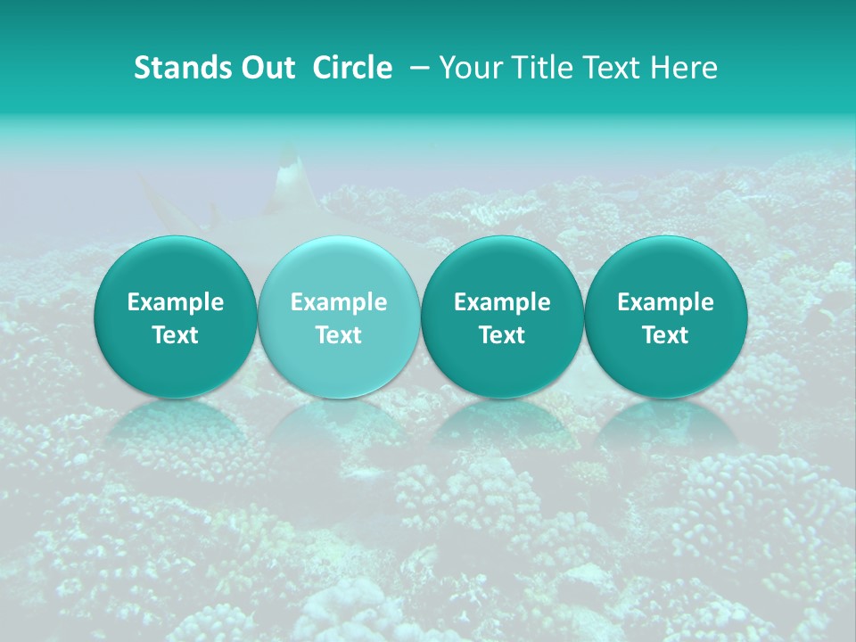 Vacaciones Tiburon Bora Bora PowerPoint Template