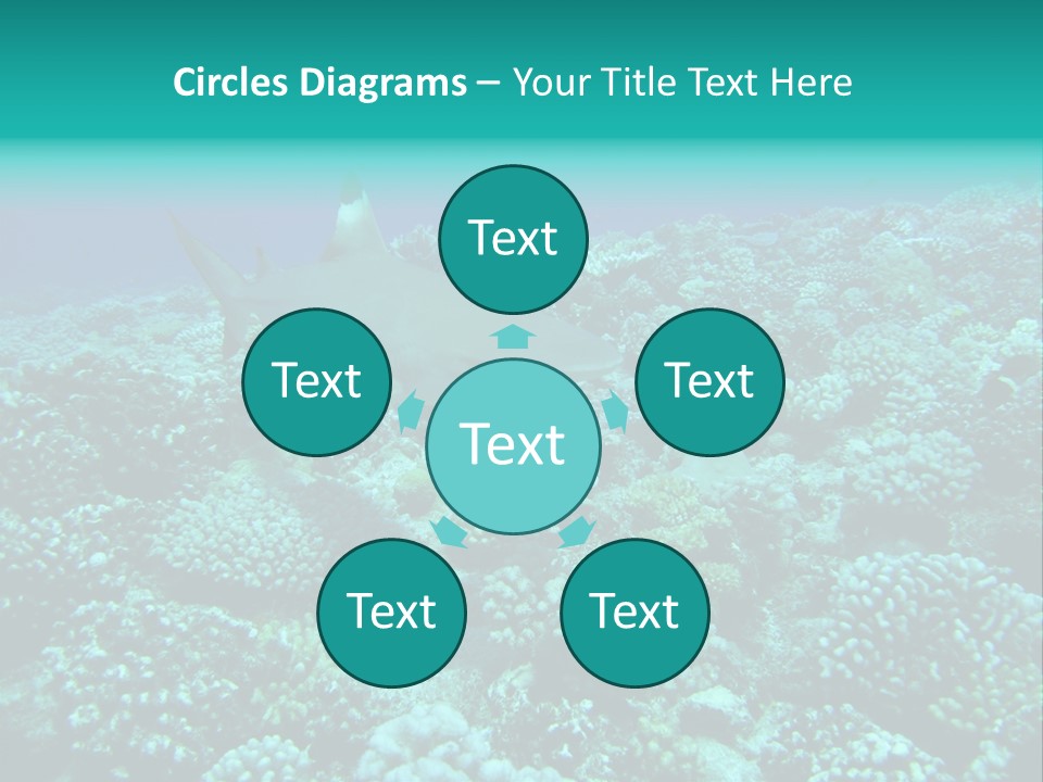 Vacaciones Tiburon Bora Bora PowerPoint Template