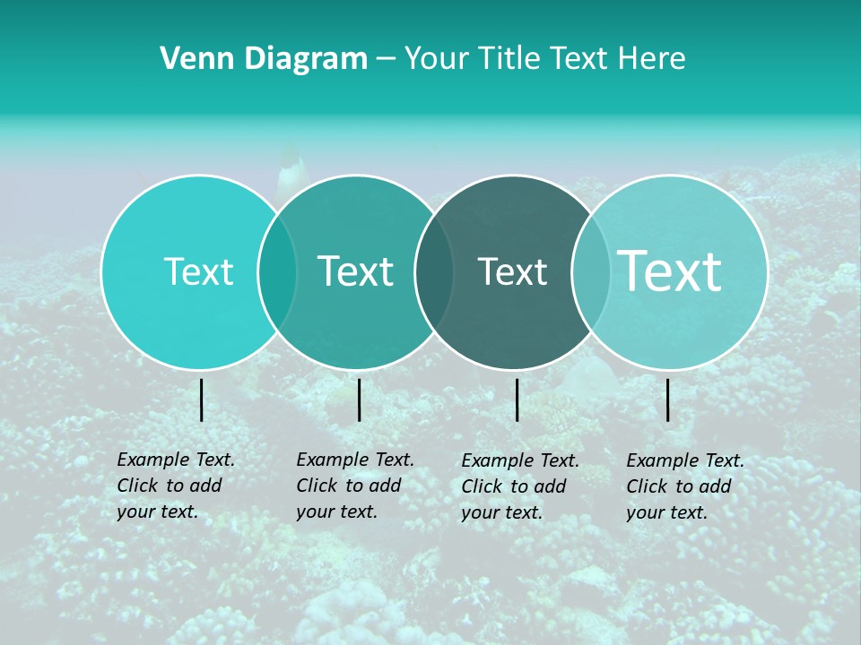 Vacaciones Tiburon Bora Bora PowerPoint Template