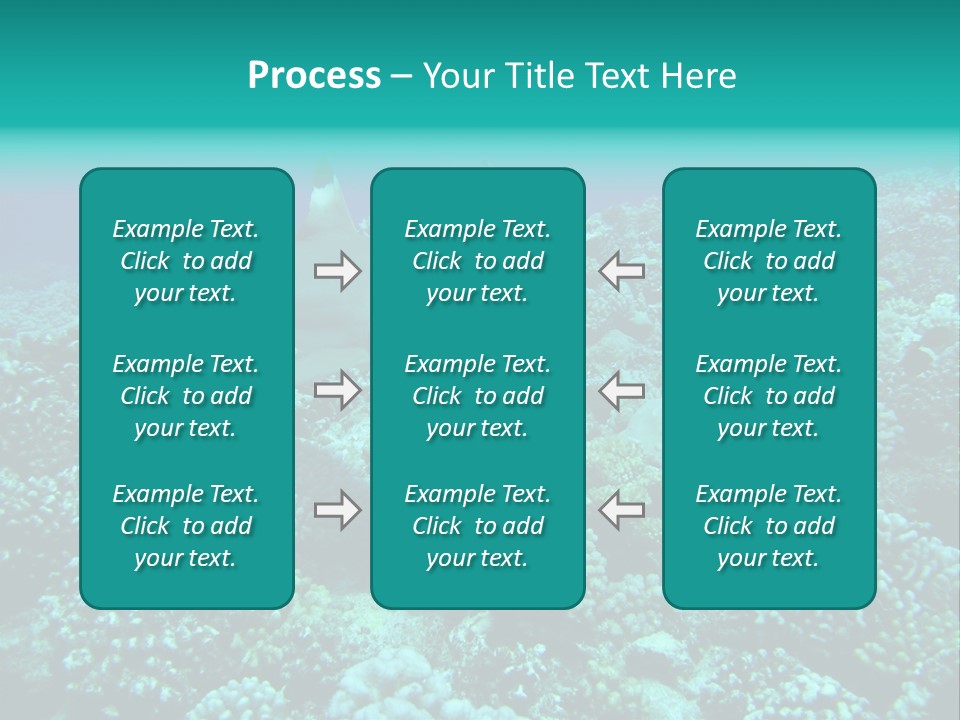 Vacaciones Tiburon Bora Bora PowerPoint Template