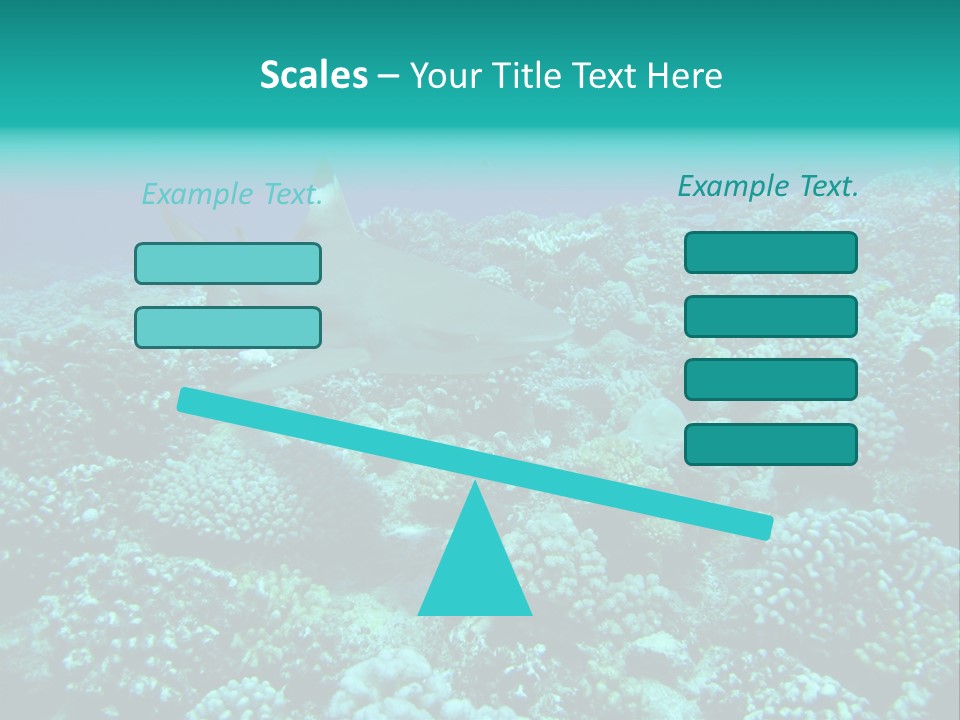 Vacaciones Tiburon Bora Bora PowerPoint Template