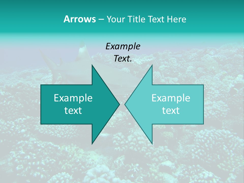 Vacaciones Tiburon Bora Bora PowerPoint Template