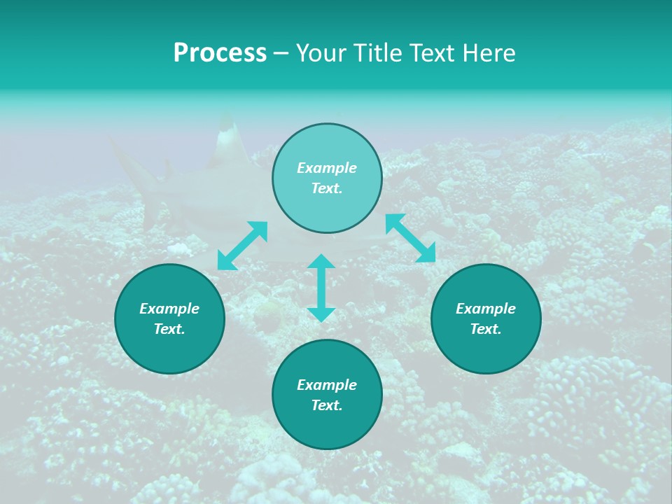 Vacaciones Tiburon Bora Bora PowerPoint Template